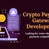 Advanced Crypto Payment Gateway Solutions for Secure Digital Transactions