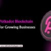 Custom Polkadot Blockchain Solutions for Growing Businesses