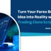 Turn Your Forex Business Idea into Reality with XM Trading Clone Script