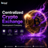 What Makes Centralized Crypto Exchanges So Powerful?